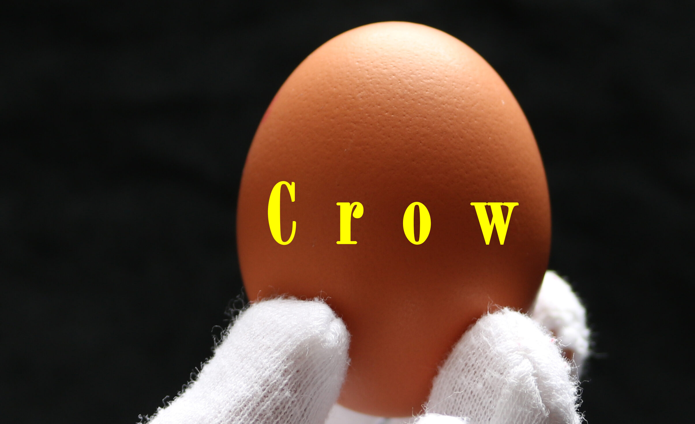 A promotional image of a magician's hand holding an egg. It says Crow in yellow text.
