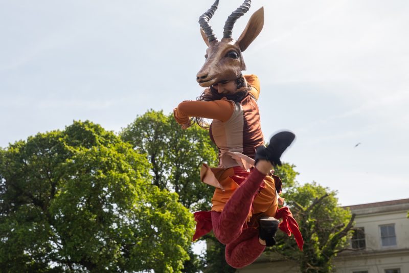 An image of a life sized puppet stag with trees in the background.