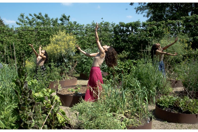 An image of three female dancers surrounded by greenery.